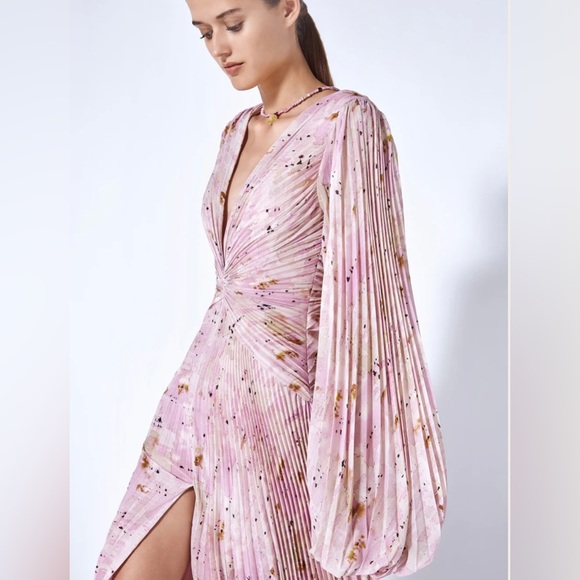 ALEXIS ELISHA DRESS - Picture 3 of 4